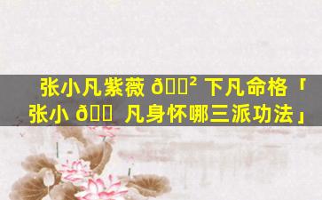 张小凡紫薇 🌲 下凡命格「张小 🐠 凡身怀哪三派功法」